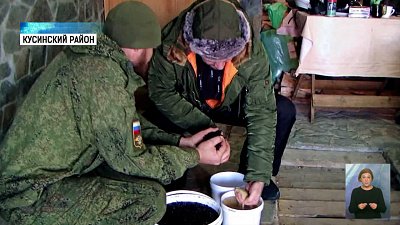 В Кусинском районе высадят кедры