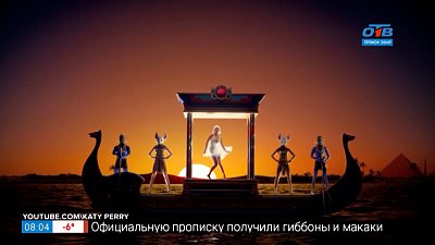 Знаменитости — дизайнеры обуви в рубрике «Пройдёмся по звёздам»