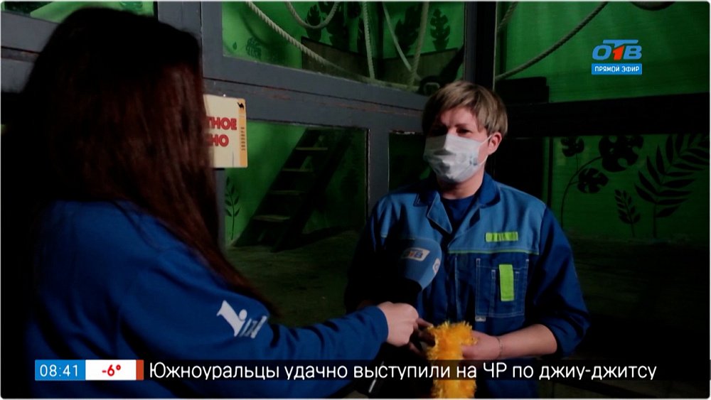 Новые обезьяны в Зоопарке — Прямое включение