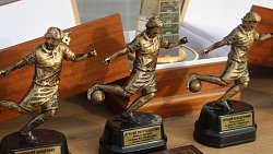 Футбольный клуб «Торпедо» Миасс выиграл турнир «Кубок Шафигулина»