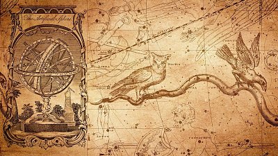 Астрологический прогноз на 8 февраля 2022 года