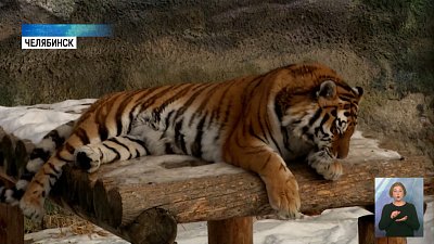 Чем грозит изменение климата?