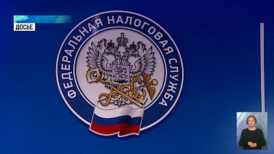Губернатор положительно оценил работу налоговой