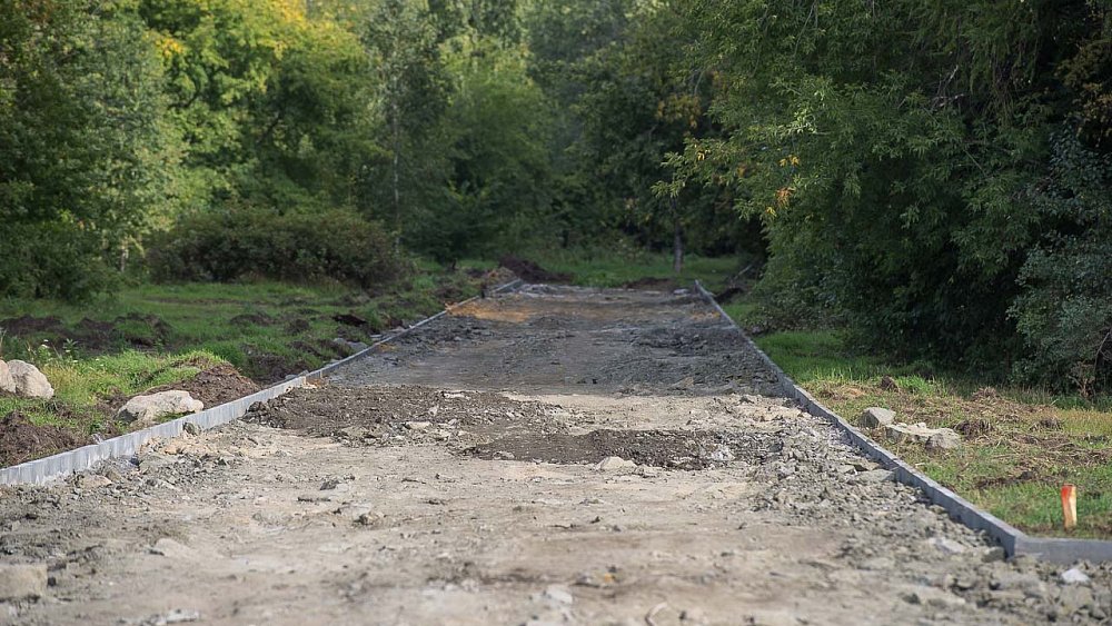 В Никольской роще в Челябинске построят лыжероллерную трассу и установят аттракционы