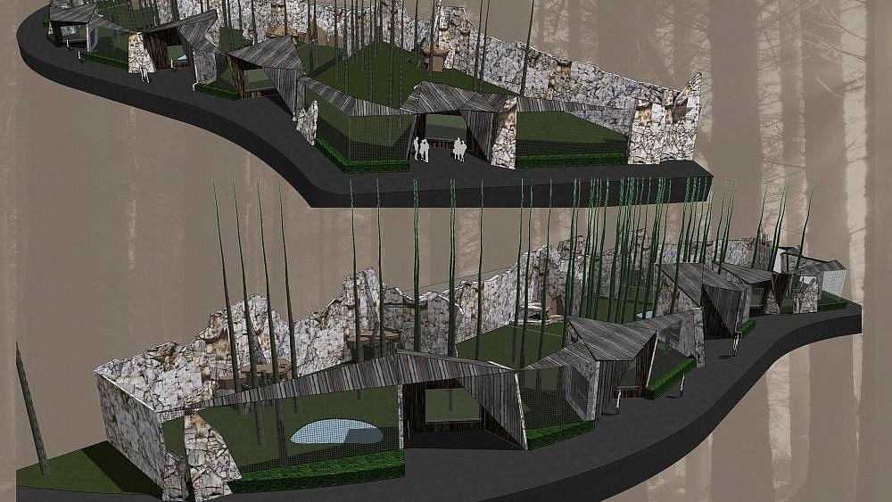 В челябинском зоопарке построят новые вольеры для бурых медведей