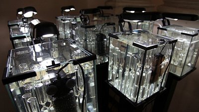 Наука сливается с искусством: в Челябинске пройдет серия лекций о science-art