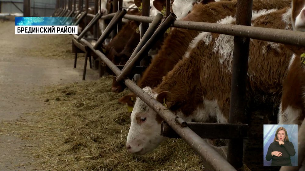 Алексей Фартыгин посетил Брединский район