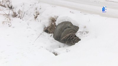 Почему зимой топит огород?