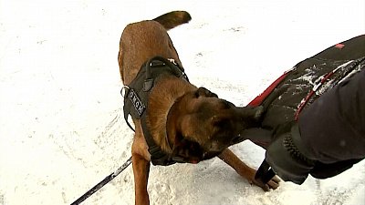 Происшествия недели 12.02.2022