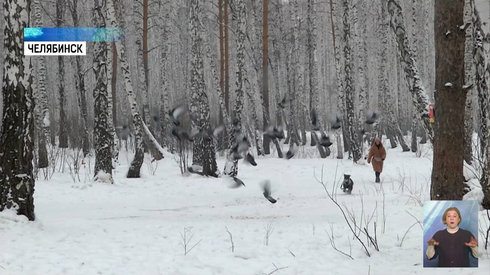 В России чаще стали обращаться к зоопсихологам