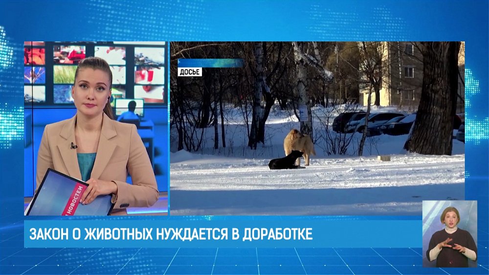 Закон о животных нуждается в доработке