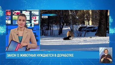 Закон о животных нуждается в доработке