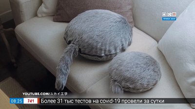 Девайсы для любви в рубрике «Инспектор гаджет»