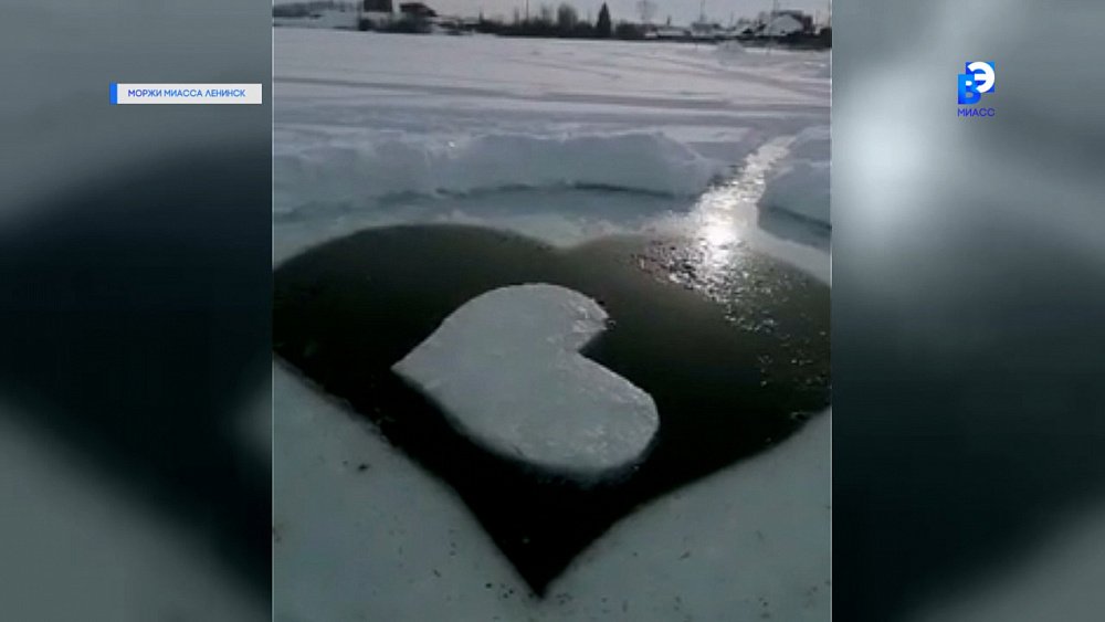 Моржи дарят ледяную «валентинку»