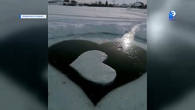 Моржи дарят ледяную «валентинку»