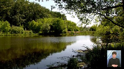 Расследование о загрязнении Шершней завершено