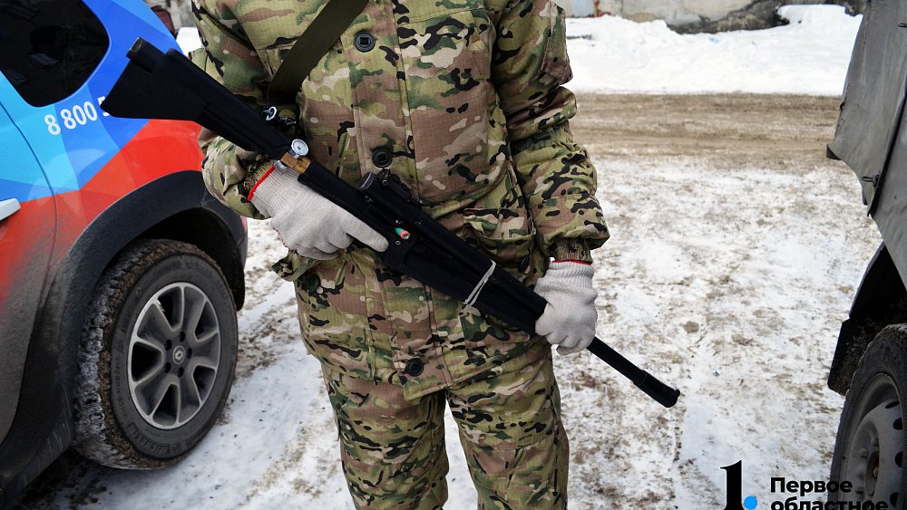 В Коркино отловили собак рядом с местом нападения на 11‑летнюю девочку