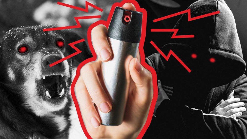 Предупрежден и вооружен: как защититься от агрессивных собак и преступников