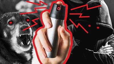 Предупрежден и вооружен: как защититься от агрессивных собак и преступников