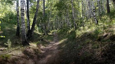 Красоты Челябинской области — Ужовский бор