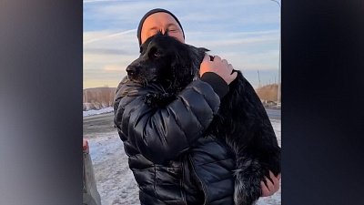 Чудеса случаются: хозяева из Миасса нашли потерявшегося пса в Москве