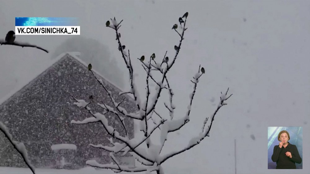 Южноуральцы участвуют в акции «Синичка»