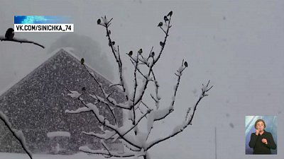 Южноуральцы участвуют в акции «Синичка»