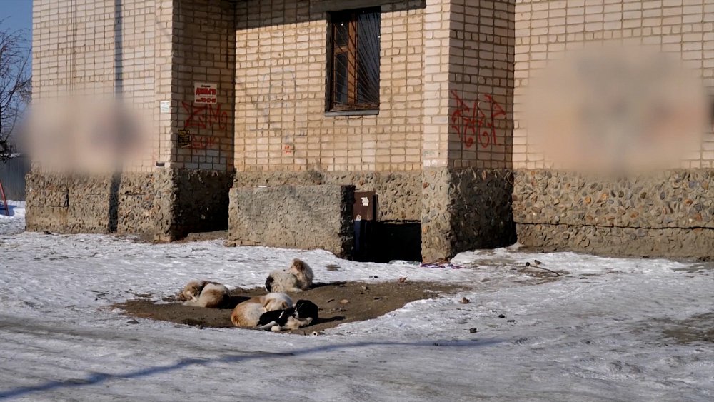 Происшествия недели 19.02.2022