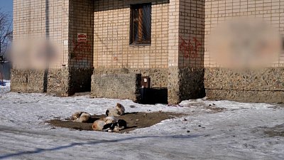 Происшествия недели 19.02.2022