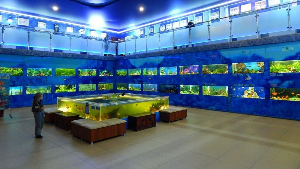 В Челябинске незаконно работал дом-аквариум