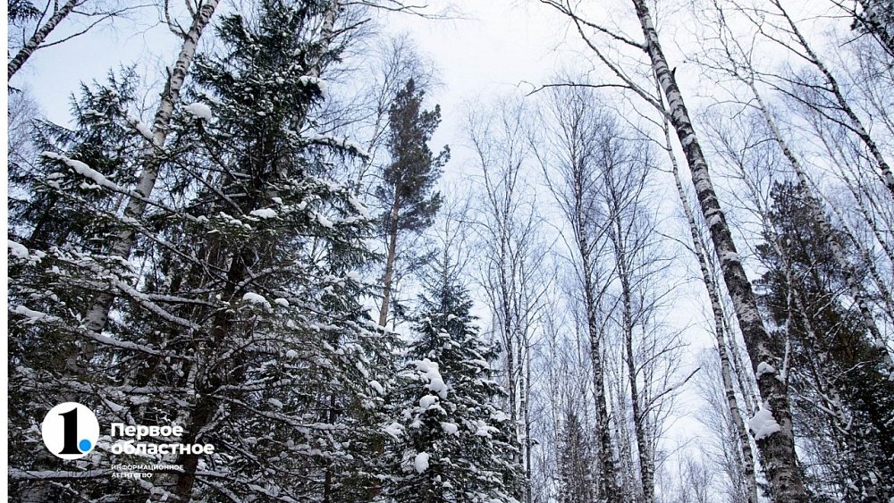 Туристка из Беларуси пострадала при спуске с горного хребта в нацпарке «Таганай»