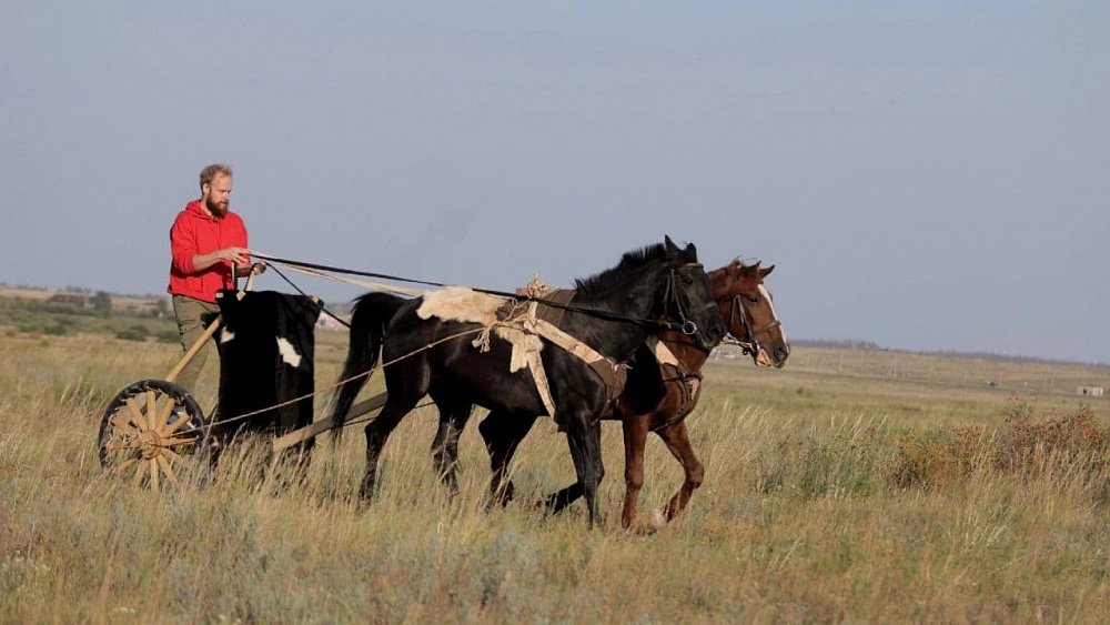 Челябинские археологи построят еще одну боевую колесницу