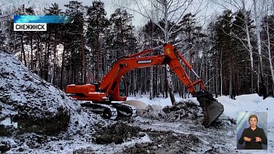 В парке Снежинска обустроят пруд