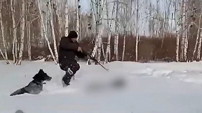 В Нагайбакском районе живодёры сняли на видео «охоту» на собаку