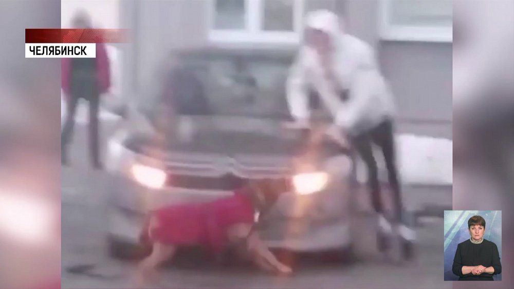 Пес напугал челябинцев