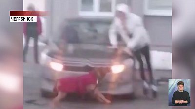 Пес напугал челябинцев