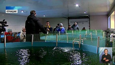 В селе Кунашак прошли зимние гуляния