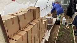 В Челябинской области полицейские изъяли нелегальные сигареты и алкоголь на полмиллиона рублей