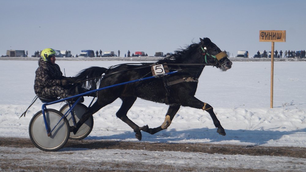 В Верхнеуральском районе прошли ежегодные конноспортивные соревнования