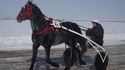 В Верхнеуральском районе прошли ежегодные конноспортивные соревнования