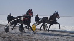В Верхнеуральском районе прошли ежегодные конноспортивные соревнования