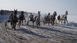 В Верхнеуральском районе прошли ежегодные конноспортивные соревнования