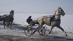 В Верхнеуральском районе прошли ежегодные конноспортивные соревнования