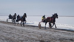 В Верхнеуральском районе прошли ежегодные конноспортивные соревнования