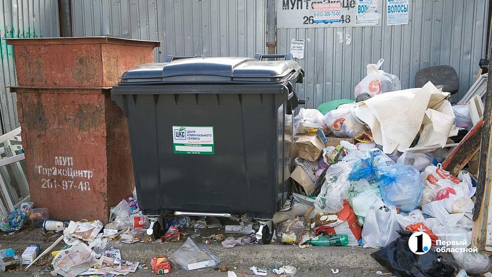 В России с 1 марта запретят выбрасывать технику в мусорные контейнеры