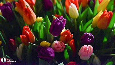 180 тысяч тюльпанов к 8 Марта для жительниц Казахстана отправили обратно на Южный Урал