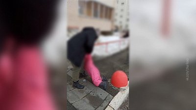 Прохожие поругались с пьяной матерью