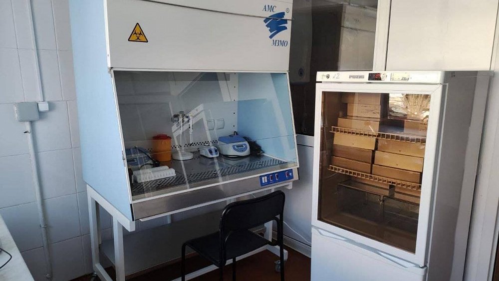 В Кыштыме открыли лабораторию для диагностики коронавируса по ПЦР-тесту