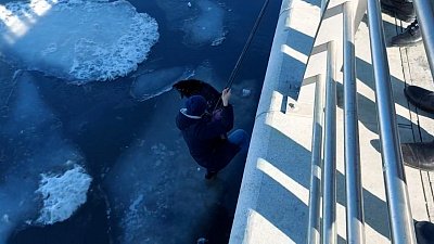 Ведущий телеканала ОТВ бросился на спасение застрявшей на льду собаки