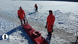 Челябинцы спасли провалившуюся под лед собаку на реке Миасс